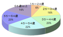 ダイエーでのレジ袋チラシ同梱4