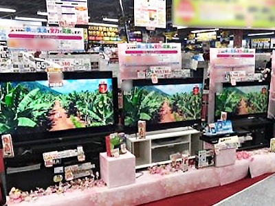 家電量販店テレビ売り場テレビモニターでのバナナ生産過程の放映事例4