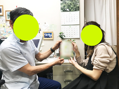 産婦人科医院での妊娠計画中や妊娠中の方に向けた葉酸サプリのサンプリング事例4