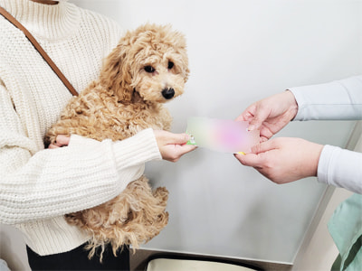 動物病院に通うドッグオーナーに向けた愛犬用入浴剤シャンプーのサンプリング事例1